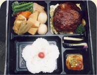 ��c�p�ٓ��ʐ^2